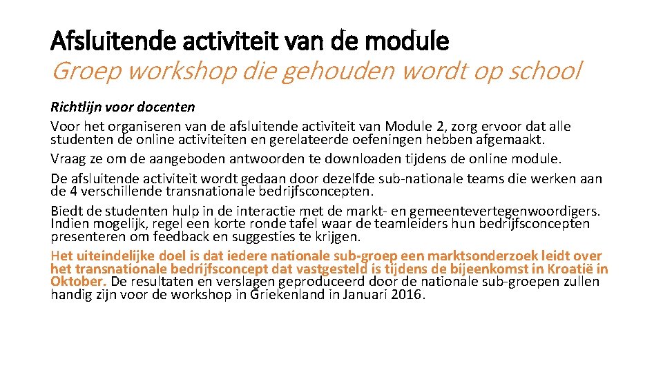 Afsluitende activiteit van de module Groep workshop die gehouden wordt op school Richtlijn voor