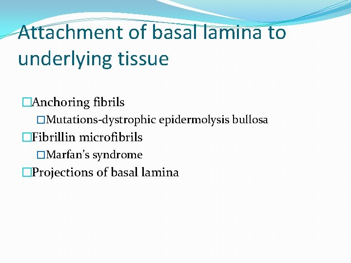 Attachment of basal lamina to underlying tissue �Anchoring fibrils �Mutations-dystrophic epidermolysis bullosa �Fibrillin microfibrils