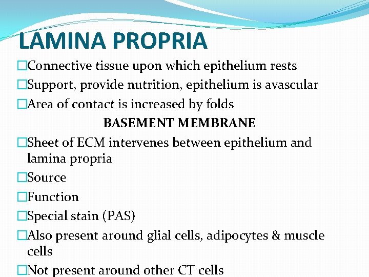 LAMINA PROPRIA �Connective tissue upon which epithelium rests �Support, provide nutrition, epithelium is avascular