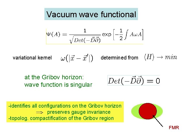 Vacuum wave functional variational kernel determined from at the Gribov horizon: wave function is