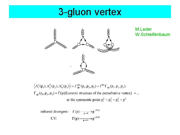 3 -gluon vertex M. Leder W. Schleifenbaum 