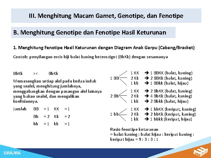 III. Menghitung Macam Gamet, Genotipe, dan Fenotipe B. Menghitung Genotipe dan Fenotipe Hasil Keturunan