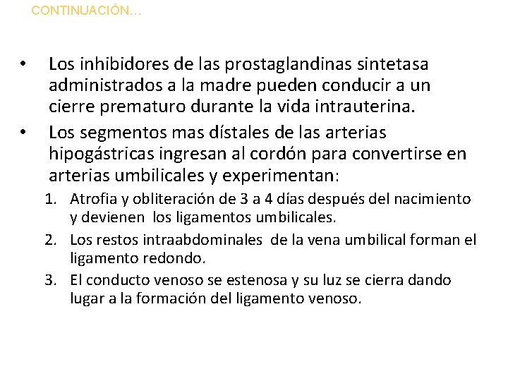 CONTINUACIÓN… • • Los inhibidores de las prostaglandinas sintetasa administrados a la madre pueden