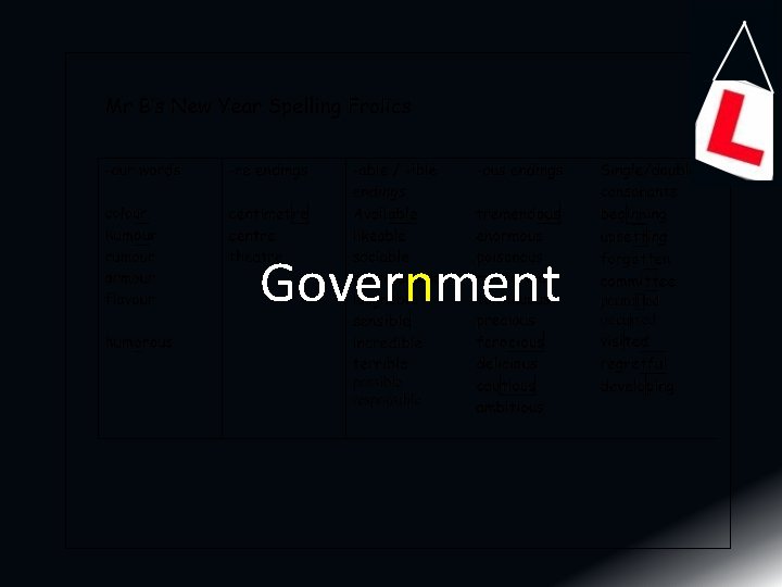 Government 