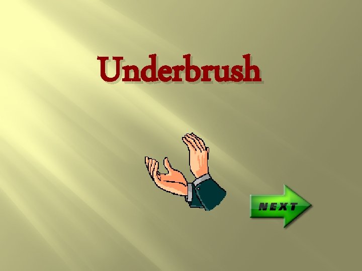 Underbrush 