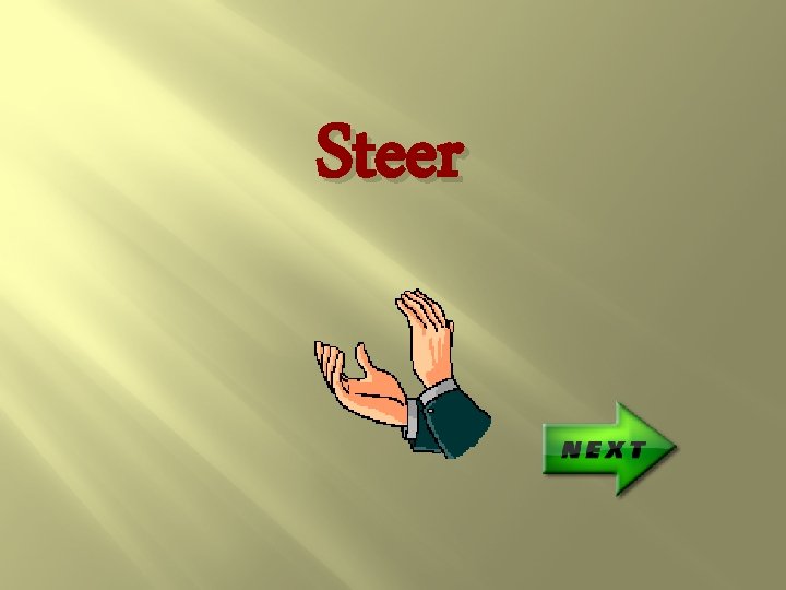 Steer 