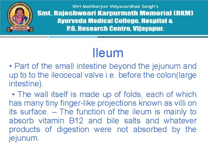 Ileum • Part of the small intestine beyond the jejunum and up to to