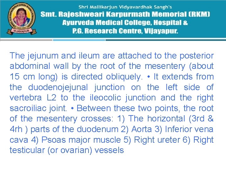 The jejunum and ileum are attached to the posterior abdominal wall by the root