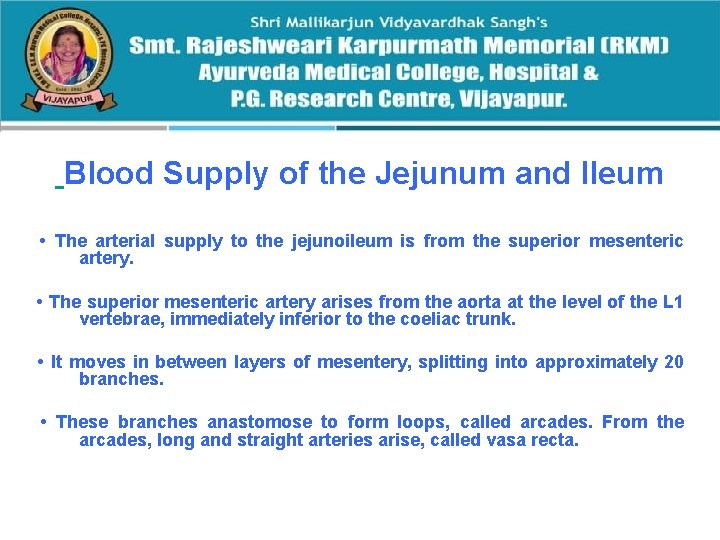  Blood Supply of the Jejunum and Ileum • The arterial supply to the