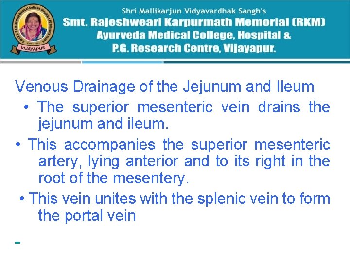 Venous Drainage of the Jejunum and Ileum • The superior mesenteric vein drains the