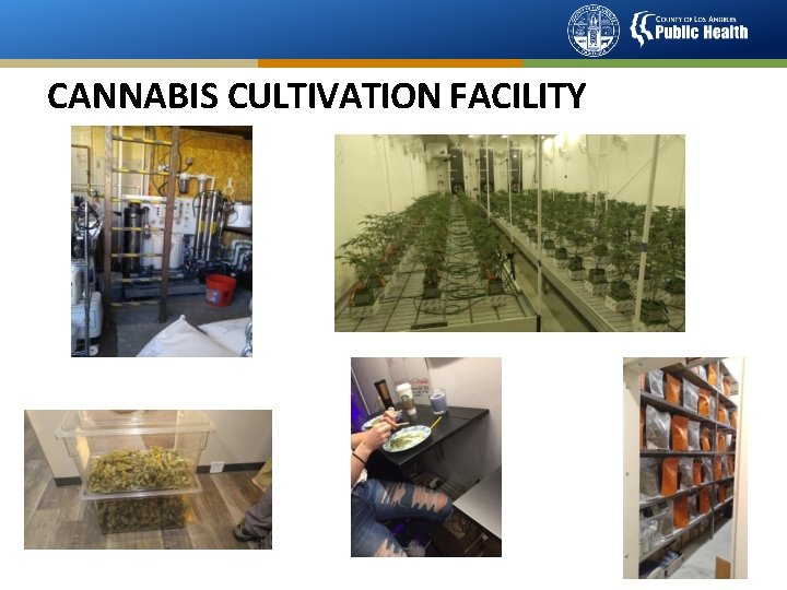 CANNABIS CULTIVATION FACILITY 5 