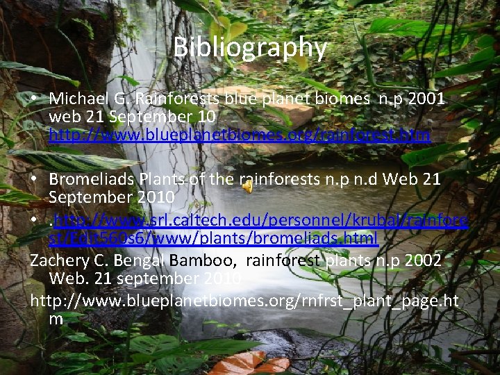 Bibliography • Michael G. Rainforests blue planet biomes n. p 2001 web 21 September