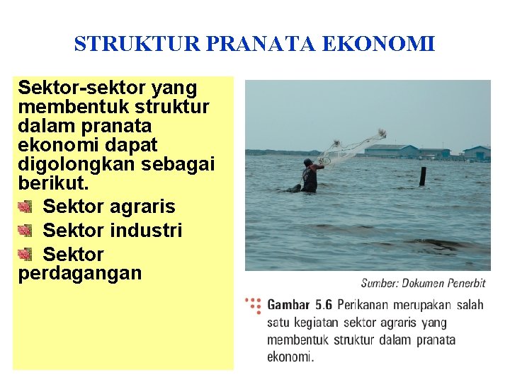 STRUKTUR PRANATA EKONOMI Sektor-sektor yang membentuk struktur dalam pranata ekonomi dapat digolongkan sebagai berikut.