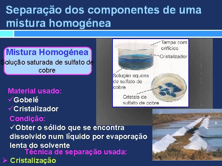 Separação dos componentes de uma mistura homogénea Mistura Homogénea Solução saturada de sulfato de