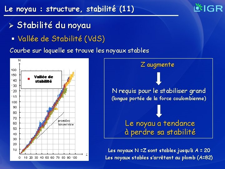 Le noyau : structure, stabilité (11) Ø Stabilité du noyau § Vallée de Stabilité