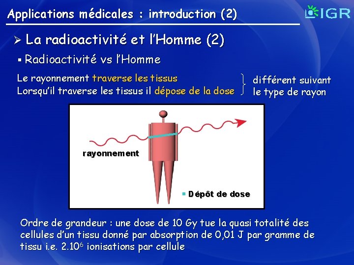 Applications médicales : introduction (2) Ø La radioactivité et l’Homme (2) § Radioactivité vs