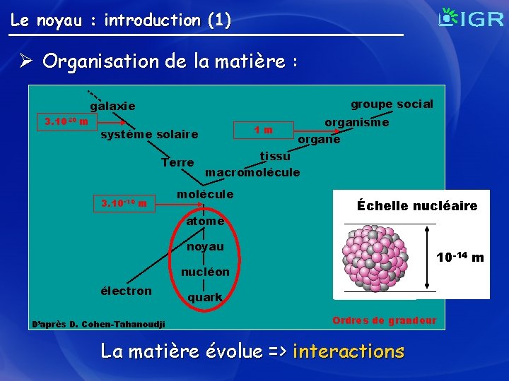 Le noyau : introduction (1) Ø Organisation de la matière : groupe social galaxie