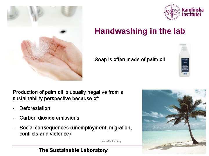 Handwashing in the lab Soap is often made of palm oil Production of palm