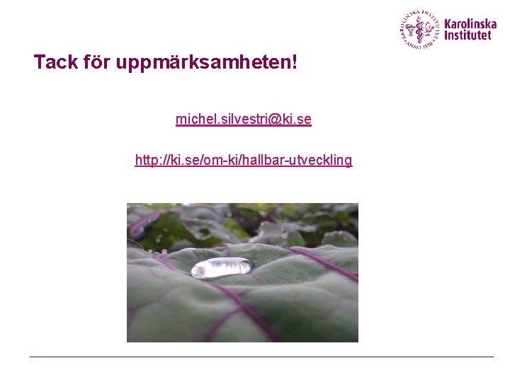 Tack för uppmärksamheten! michel. silvestri@ki. se http: //ki. se/om-ki/hallbar-utveckling 