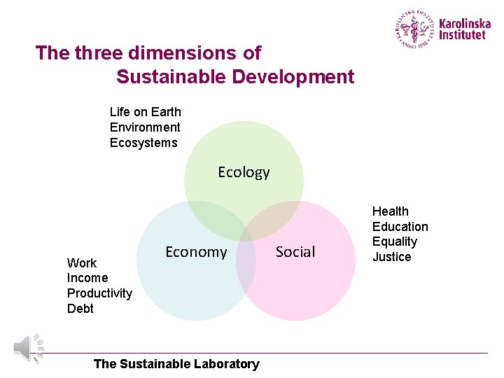 The three dimensions of Sustainable Development Life on Earth Environment Ecosystems Ecology Work Income