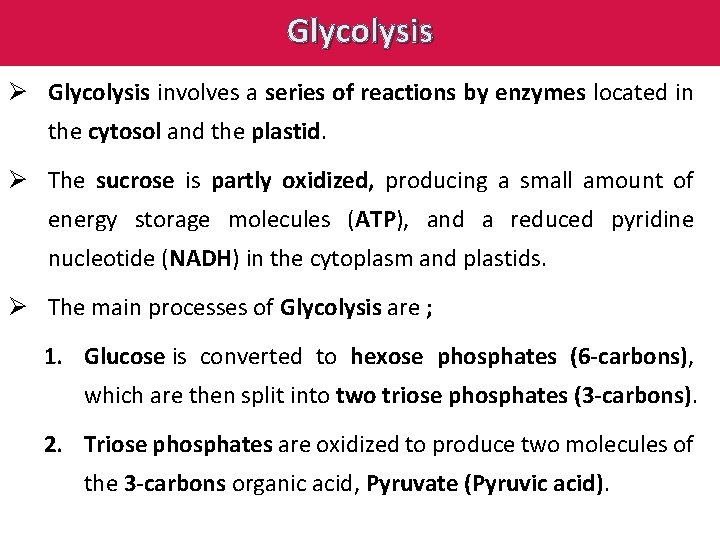 Glycolysis Ø Glycolysis involves a series of reactions by enzymes located in the cytosol