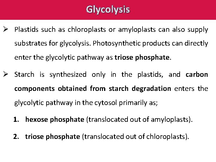 Glycolysis Ø Plastids such as chloroplasts or amyloplasts can also supply substrates for glycolysis.