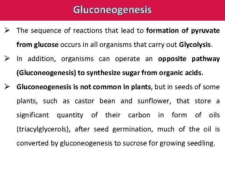 Gluconeogenesis Ø The sequence of reactions that lead to formation of pyruvate from glucose