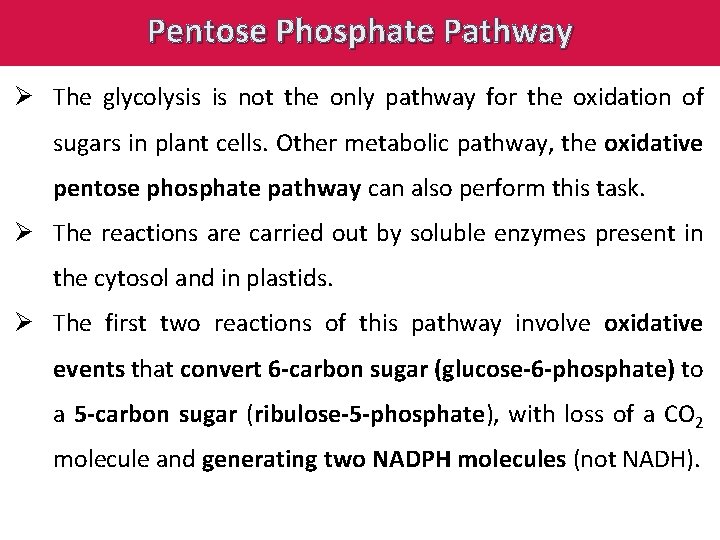 Pentose Phosphate Pathway Ø The glycolysis is not the only pathway for the oxidation