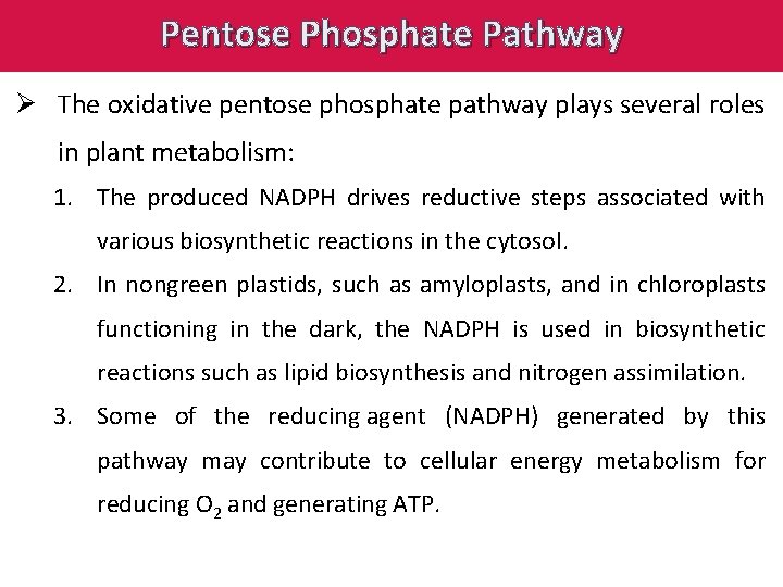 Pentose Phosphate Pathway Ø The oxidative pentose phosphate pathway plays several roles in plant