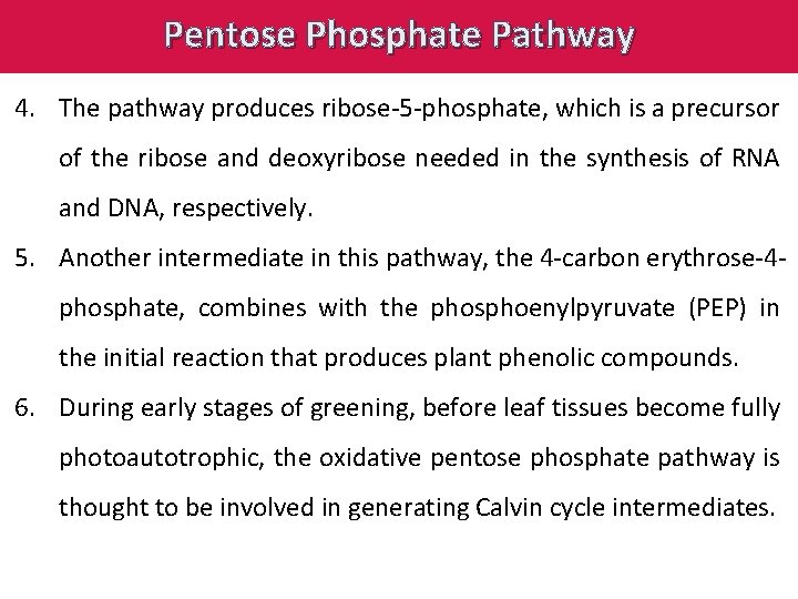 Pentose Phosphate Pathway 4. The pathway produces ribose-5 -phosphate, which is a precursor of