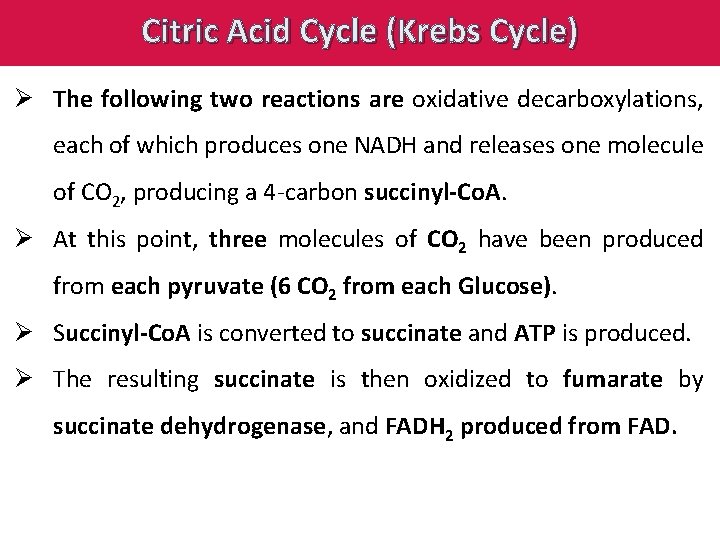 Citric Acid Cycle (Krebs Cycle) Ø The following two reactions are oxidative decarboxylations, each