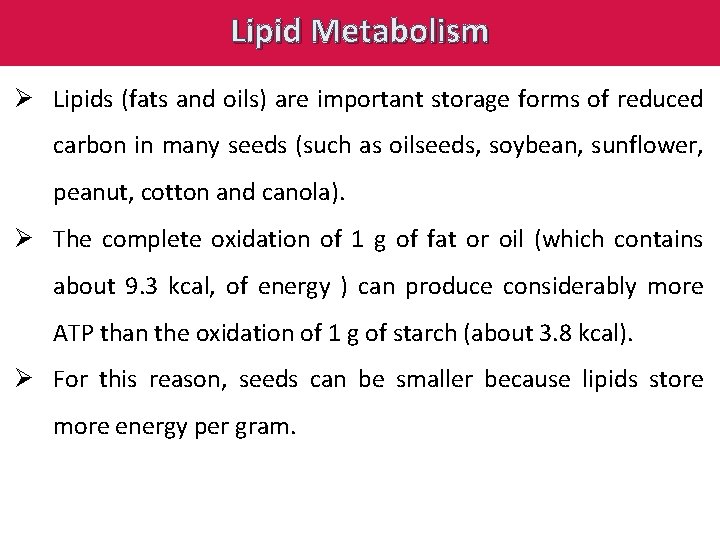 Lipid Metabolism Ø Lipids (fats and oils) are important storage forms of reduced carbon