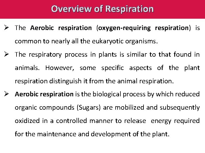 Overview of Respiration Ø The Aerobic respiration (oxygen-requiring respiration) is common to nearly all
