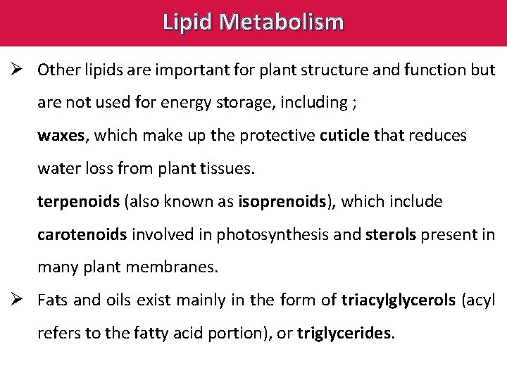 Lipid Metabolism Ø Other lipids are important for plant structure and function but are