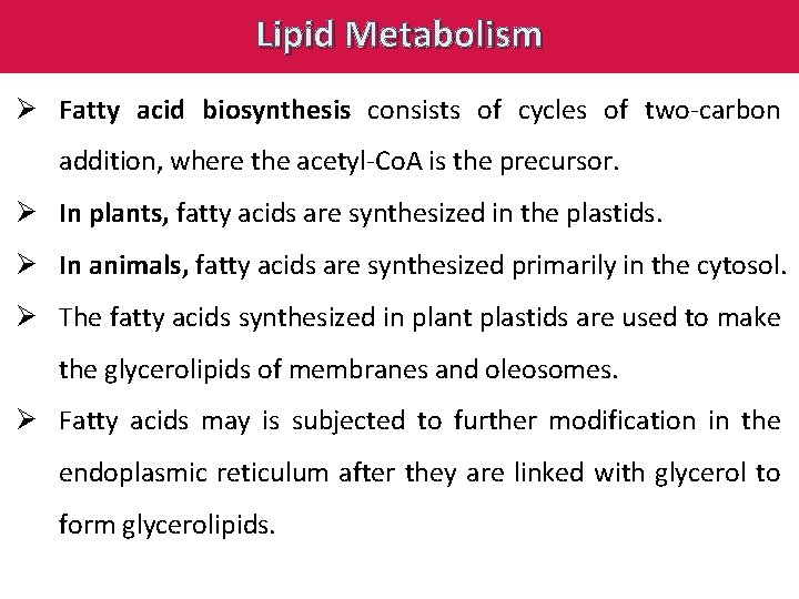 Lipid Metabolism Ø Fatty acid biosynthesis consists of cycles of two-carbon addition, where the