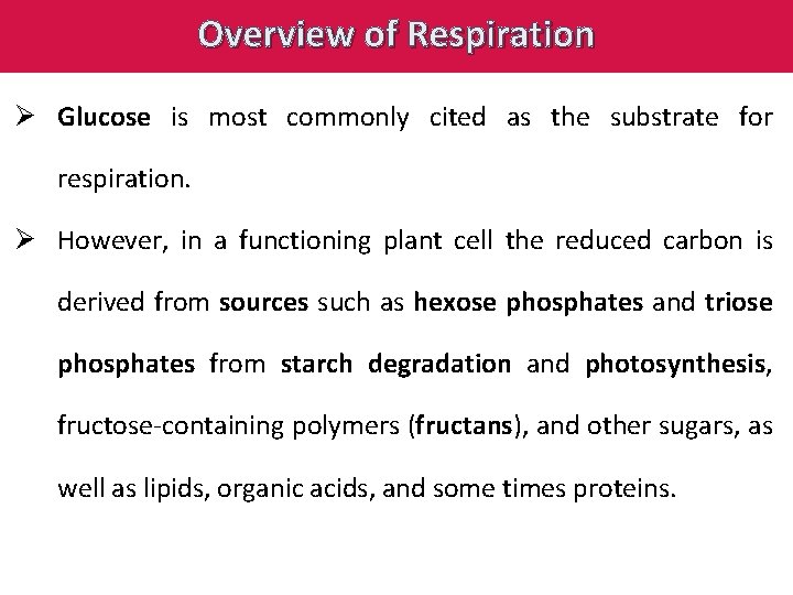 Overview of Respiration Ø Glucose is most commonly cited as the substrate for respiration.