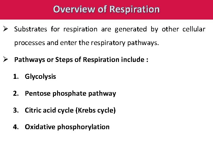 Overview of Respiration Ø Substrates for respiration are generated by other cellular processes and