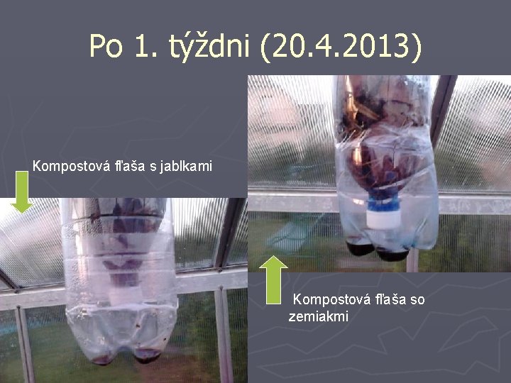 Po 1. týždni (20. 4. 2013) Kompostová fľaša s jablkami Kompostová fľaša so zemiakmi