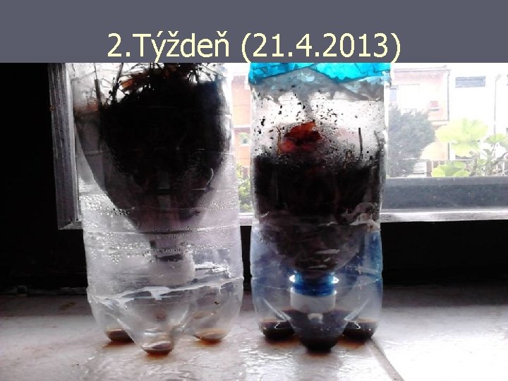2. Týždeň (21. 4. 2013) 