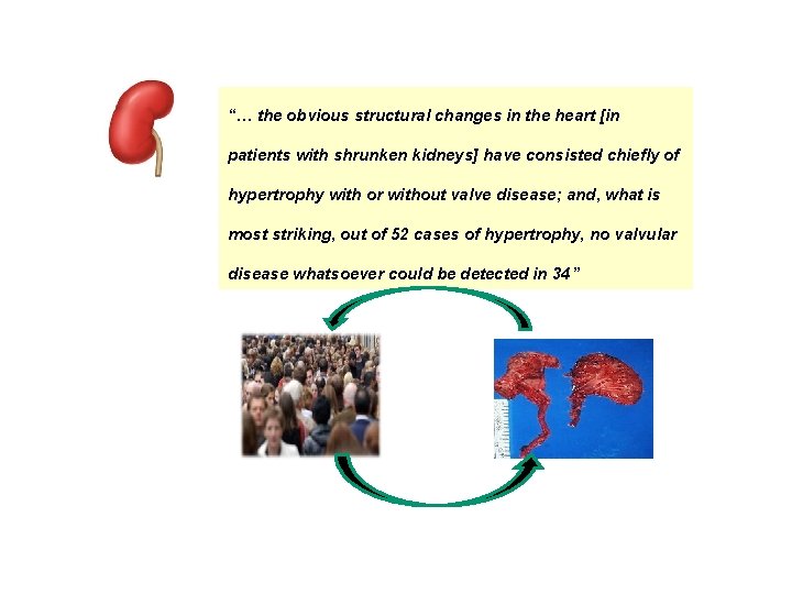 “… the obvious structural changes in the heart [in patients with shrunken kidneys] have