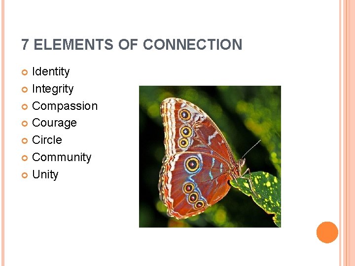 7 ELEMENTS OF CONNECTION Identity Integrity Compassion Courage Circle Community Unity 