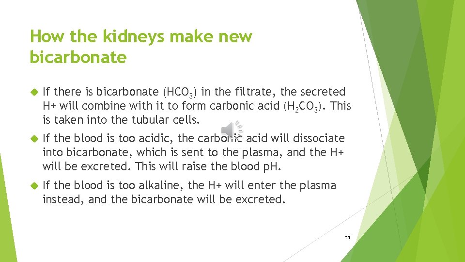 How the kidneys make new bicarbonate If there is bicarbonate (HCO 3) in the