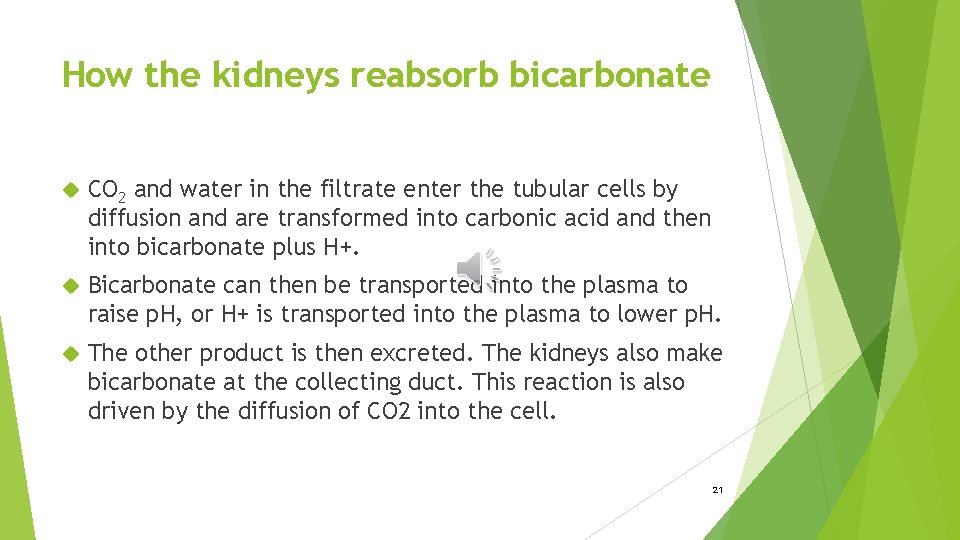 How the kidneys reabsorb bicarbonate CO 2 and water in the filtrate enter the