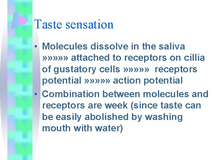 Taste sensation • Molecules dissolve in the saliva » » » attached to receptors