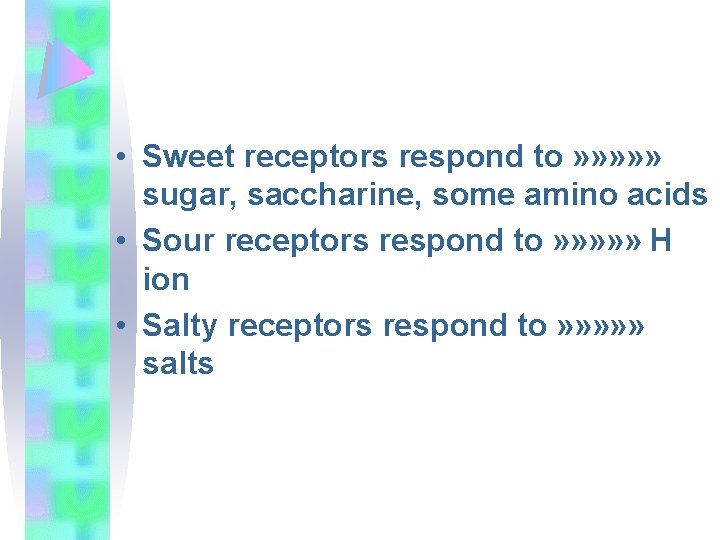  • Sweet receptors respond to » » » sugar, saccharine, some amino acids