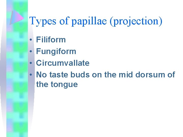 Types of papillae (projection) • • Filiform Fungiform Circumvallate No taste buds on the