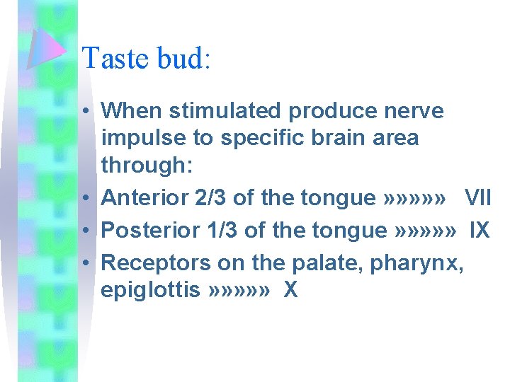 Taste bud: • When stimulated produce nerve impulse to specific brain area through: •