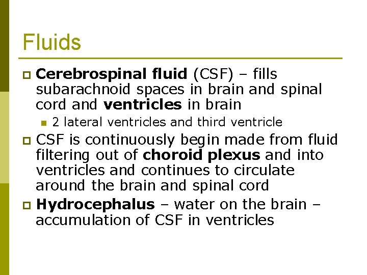 Fluids p Cerebrospinal fluid (CSF) – fills subarachnoid spaces in brain and spinal cord