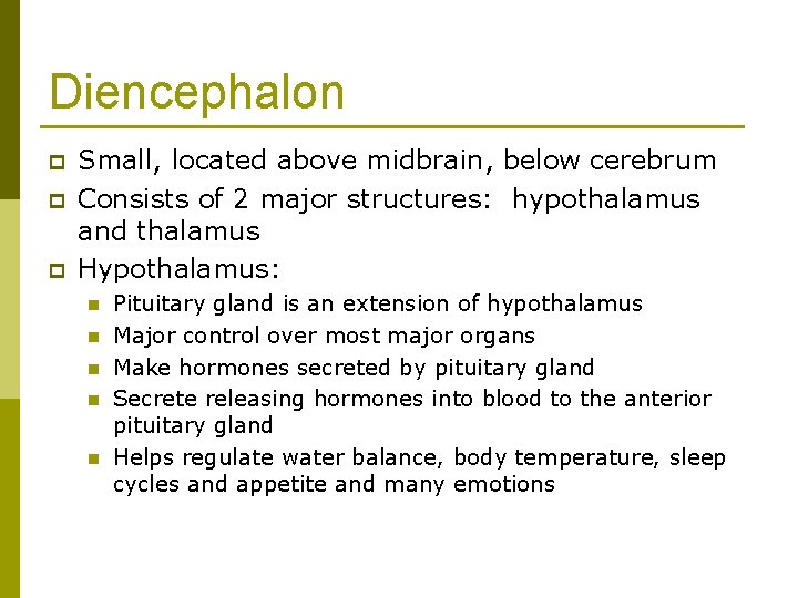 Diencephalon p p p Small, located above midbrain, below cerebrum Consists of 2 major