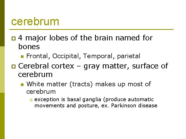 cerebrum p 4 major lobes of the brain named for bones n p Frontal,